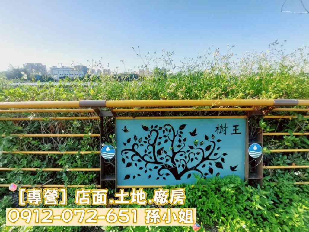 大里文心南路廠房視意圖