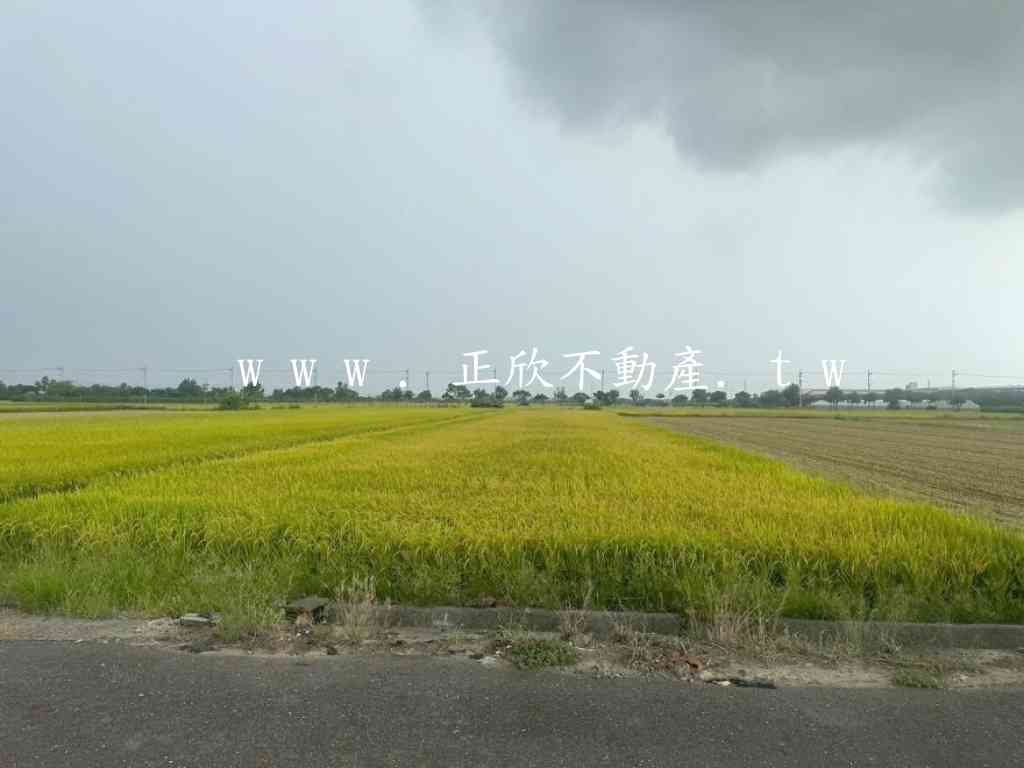 柳營區【柳營科技工業區旁農地】視意圖